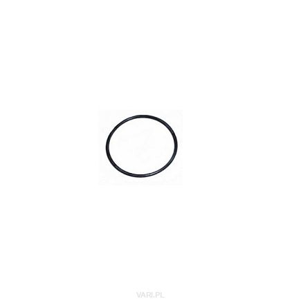 Oring 30x2